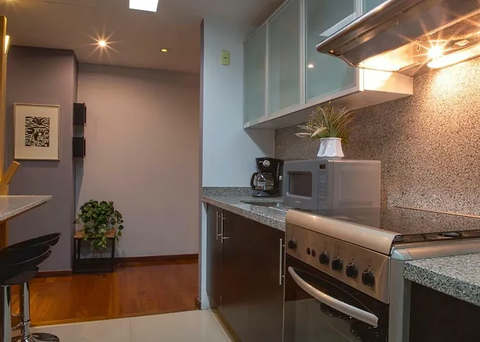 Five Bedrooms Penthouse View To Bellas Artes