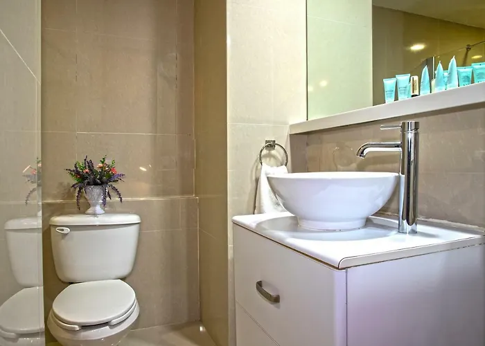 Five Bedrooms Penthouse View To Bellas Artes Apartment